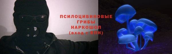 амф Алзамай
